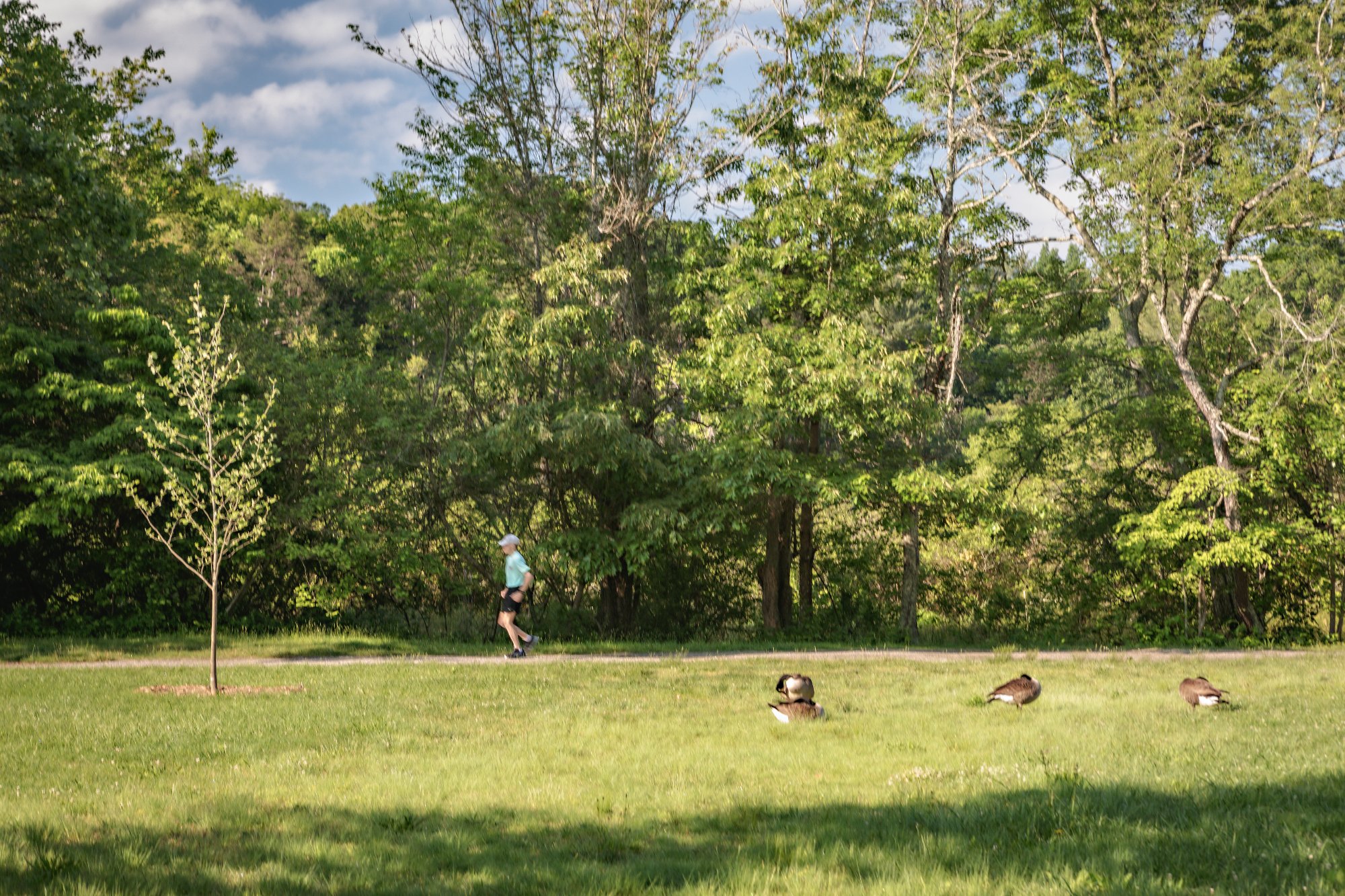 Walking trails through the green space at Reynolds Mountain Villas